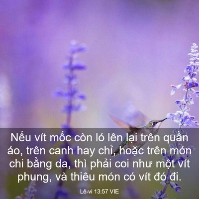 Picture 03 - Lê-vi 13:57 VIE - Nếu vít mốc còn ló lên lại trên quần - Bible Verse Picture