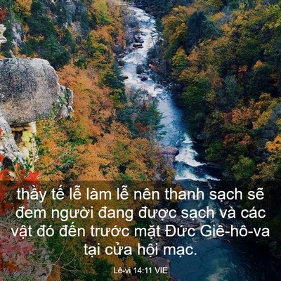 Picture 03 - Lê-vi 14:11 VIE - thầy tế lễ làm lễ nên thanh sạch sẽ - Bible Verse Picture