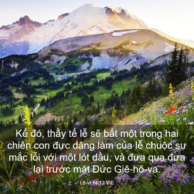Picture 03 - Lê-vi 14:12 VIE - Kế đó, thầy tế lễ sẽ bắt một - Bible Verse Picture