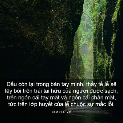 Picture 03 - Lê-vi 14:17 VIE - Dầu còn lại trong bàn tay mình, thầy - Bible Verse Picture