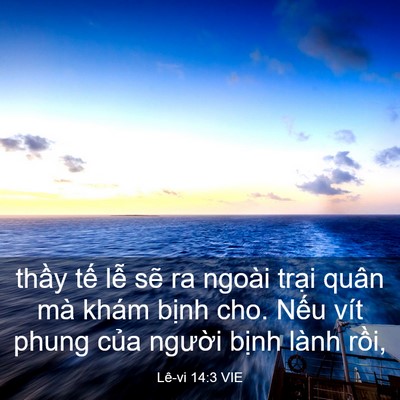 Picture 03 - Lê-vi 14:3 VIE - thầy tế lễ sẽ ra ngoài trại quân mà - Bible Verse Picture