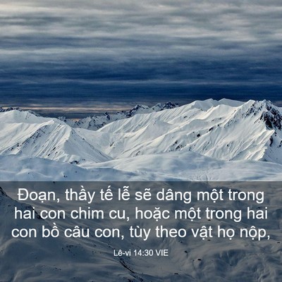Picture 03 - Lê-vi 14:30 VIE - Đoạn, thầy tế lễ sẽ dâng một trong - Bible Verse Picture