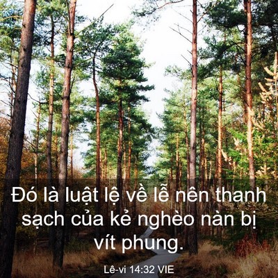 Picture 03 - Lê-vi 14:32 VIE - Đó là luật lệ về lễ nên thanh sạch - Bible Verse Picture