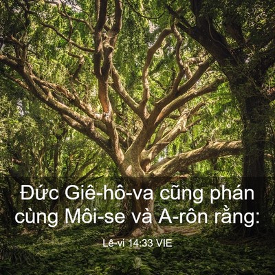 Picture 03 - Lê-vi 14:33 VIE - Đức Giê-hô-va cũng phán cùng Môi-se và - Bible Verse Picture