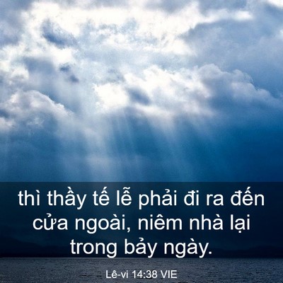 Picture 03 - Lê-vi 14:38 VIE - thì thầy tế lễ phải đi ra đến cửa - Bible Verse Picture