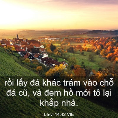 Picture 03 - Lê-vi 14:42 VIE - rồi lấy đá khác trám vào chỗ đá cũ, - Bible Verse Picture