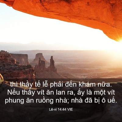 Picture 03 - Lê-vi 14:44 VIE - thì thầy tế lễ phải đến khám nữa. - Bible Verse Picture