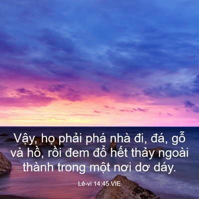 Picture 03 - Lê-vi 14:45 VIE - Vậy, họ phải phá nhà đi, đá, gỗ và - Bible Verse Picture