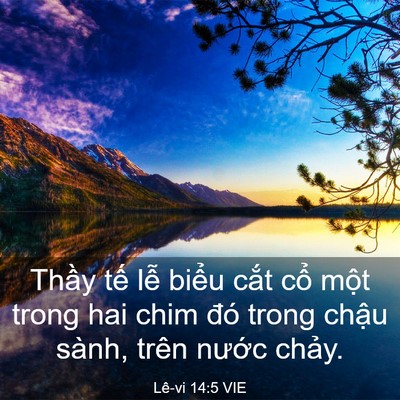 Picture 03 - Lê-vi 14:5 VIE - Thầy tế lễ biểu cắt cổ một trong - Bible Verse Picture