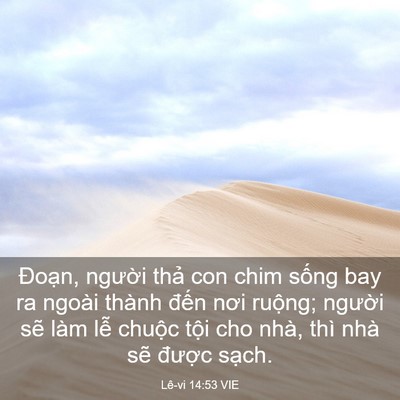 Picture 03 - Lê-vi 14:53 VIE - Đoạn, người thả con chim sống bay ra - Bible Verse Picture