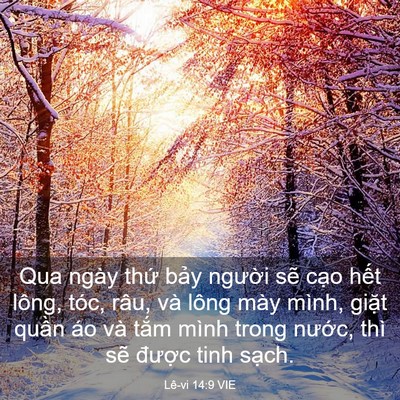 Picture 03 - Lê-vi 14:9 VIE - Qua ngày thứ bảy người sẽ cạo hết - Bible Verse Picture