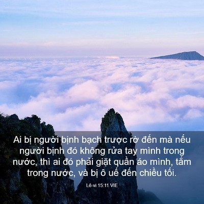 Picture 03 - Lê-vi 15:11 VIE - Ai bị người bịnh bạch trược rờ - Bible Verse Picture