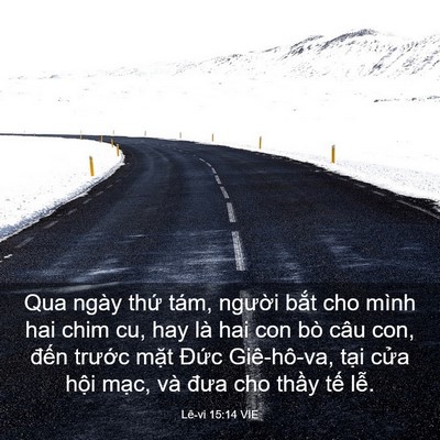 Picture 03 - Lê-vi 15:14 VIE - Qua ngày thứ tám, người bắt cho mình - Bible Verse Picture