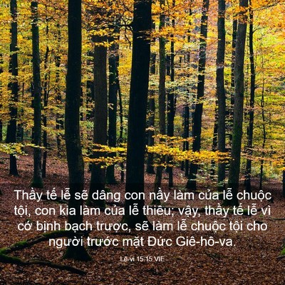 Picture 03 - Lê-vi 15:15 VIE - Thầy tế lễ sẽ dâng con nầy làm của - Bible Verse Picture