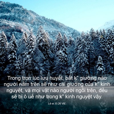 Picture 03 - Lê-vi 15:26 VIE - Trong trọn lúc lưu huyết, bất k” - Bible Verse Picture