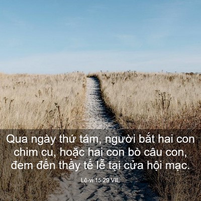 Picture 03 - Lê-vi 15:29 VIE - Qua ngày thứ tám, người bắt hai con chim - Bible Verse Picture