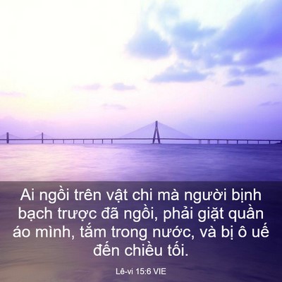 Picture 03 - Lê-vi 15:6 VIE - Ai ngồi trên vật chi mà người bịnh - Bible Verse Picture