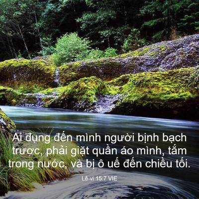 Picture 03 - Lê-vi 15:7 VIE - Ai đụng đến mình người bịnh bạch - Bible Verse Picture