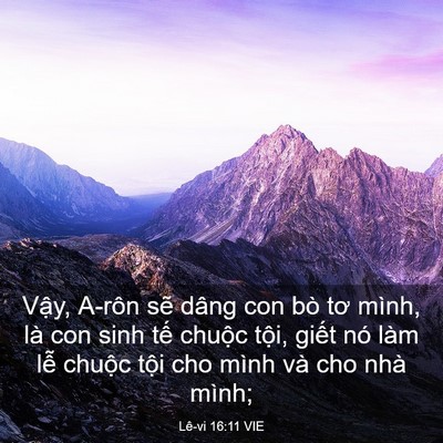 Picture 03 - Lê-vi 16:11 VIE - Vậy, A-rôn sẽ dâng con bò tơ mình, là - Bible Verse Picture