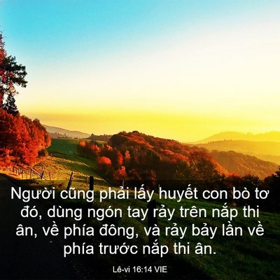 Picture 03 - Lê-vi 16:14 VIE - Người cũng phải lấy huyết con bò tơ - Bible Verse Picture