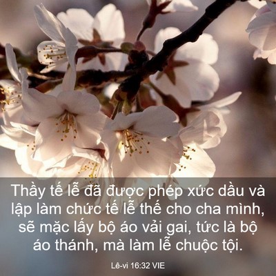 Picture 03 - Lê-vi 16:32 VIE - Thầy tế lễ đã được phép xức dầu - Bible Verse Picture