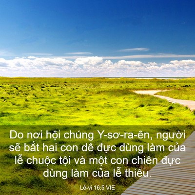 Picture 03 - Lê-vi 16:5 VIE - Do nơi hội chúng Y-sơ-ra-ên, người sẽ - Bible Verse Picture