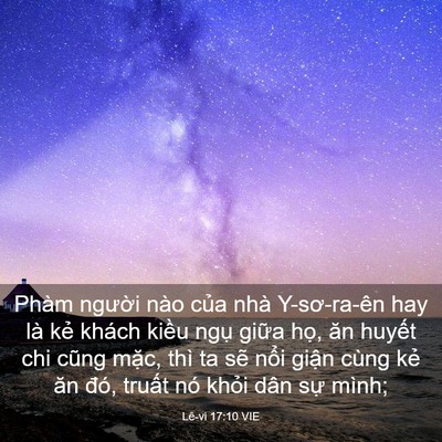 Picture 03 - Lê-vi 17:10 VIE - Phàm người nào của nhà Y-sơ-ra-ên hay - Bible Verse Picture
