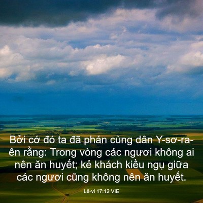 Picture 03 - Lê-vi 17:12 VIE - Bởi cớ đó ta đã phán cùng dân - Bible Verse Picture