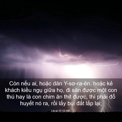 Picture 03 - Lê-vi 17:13 VIE - Còn nếu ai, hoặc dân Y-sơ-ra-ên. hoặc - Bible Verse Picture