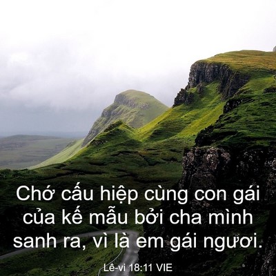 Picture 03 - Lê-vi 18:11 VIE - Chớ cấu hiệp cùng con gái của kế - Bible Verse Picture