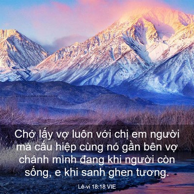 Picture 03 - Lê-vi 18:18 VIE - Chớ lấy vợ luôn với chị em người - Bible Verse Picture