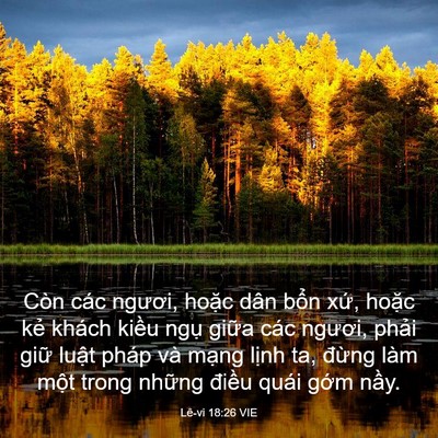 Picture 03 - Lê-vi 18:26 VIE - Còn các ngươi, hoặc dân bổn xứ, hoặc - Bible Verse Picture