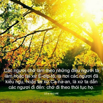 Picture 03 - Lê-vi 18:3 VIE - Các ngươi chớ làm theo những điều - Bible Verse Picture