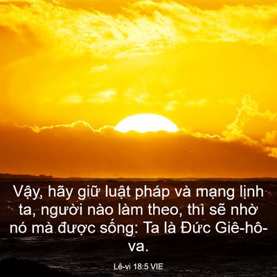 Picture 03 - Lê-vi 18:5 VIE - Vậy, hãy giữ luật pháp và mạng lịnh - Bible Verse Picture