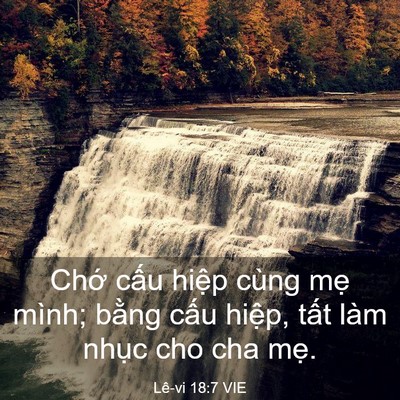 Picture 03 - Lê-vi 18:7 VIE - Chớ cấu hiệp cùng mẹ mình; bằng cấu - Bible Verse Picture