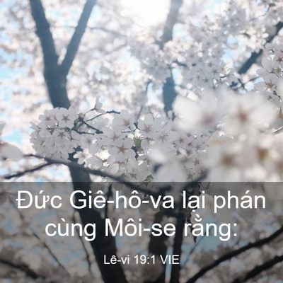 Picture 03 - Lê-vi 19:1 VIE - Đức Giê-hô-va lại phán cùng Môi-se - Bible Verse Picture