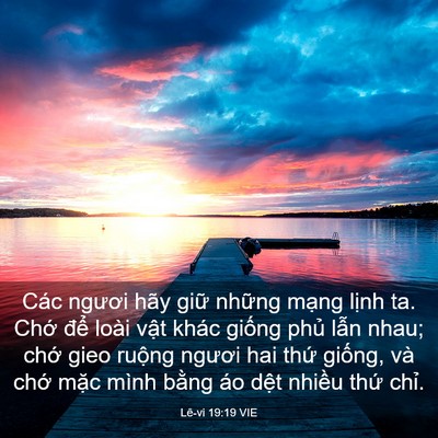 Picture 03 - Lê-vi 19:19 VIE - Các ngươi hãy giữ những mạng lịnh ta. - Bible Verse Picture