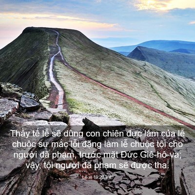 Picture 03 - Lê-vi 19:22 VIE - Thầy tế lễ sẽ dùng con chiên đực - Bible Verse Picture