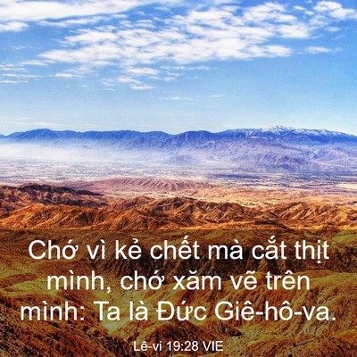 Picture 03 - Lê-vi 19:28 VIE - Chớ vì kẻ chết mà cắt thịt mình, - Bible Verse Picture