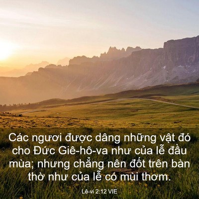 Picture 03 - Lê-vi 2:12 VIE - Các ngươi được dâng những vật đó - Bible Verse Picture