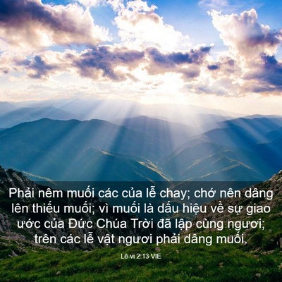Picture 03 - Lê-vi 2:13 VIE - Phải nêm muối các của lễ chay; chớ - Bible Verse Picture