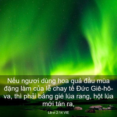 Picture 03 - Lê-vi 2:14 VIE - Nếu ngươi dùng hoa quả đầu mùa đặng - Bible Verse Picture
