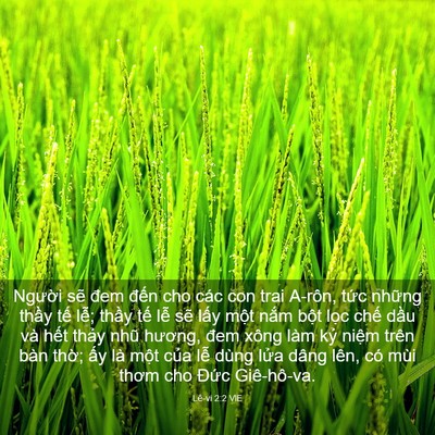 Picture 03 - Lê-vi 2:2 VIE - Người sẽ đem đến cho các con trai - Bible Verse Picture
