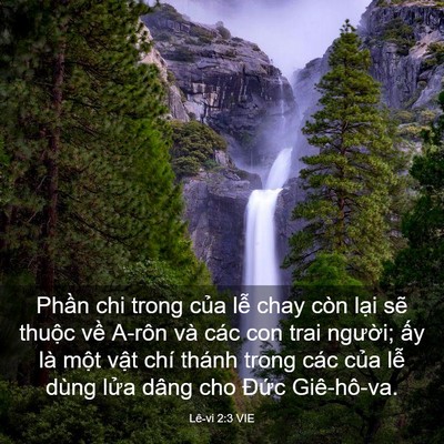 Picture 03 - Lê-vi 2:3 VIE - Phần chi trong của lễ chay còn lại sẽ - Bible Verse Picture