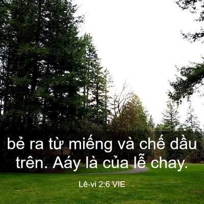 Picture 03 - Lê-vi 2:6 VIE - bẻ ra từ miếng và chế dầu trên. Aáy - Bible Verse Picture