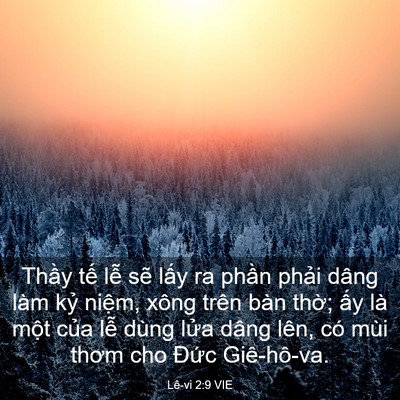 Picture 03 - Lê-vi 2:9 VIE - Thầy tế lễ sẽ lấy ra phần phải - Bible Verse Picture