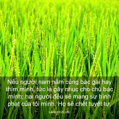 Picture 03 - Lê-vi 20:20 VIE - Nếu người nam nằm cùng bác gái hay - Bible Verse Picture