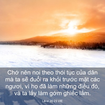 Picture 03 - Lê-vi 20:23 VIE - Chớ nên noi theo thói tục của dân mà ta - Bible Verse Picture