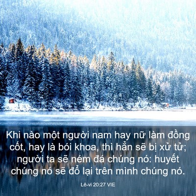 Picture 03 - Lê-vi 20:27 VIE - Khi nào một người nam hay nữ làm đồng - Bible Verse Picture