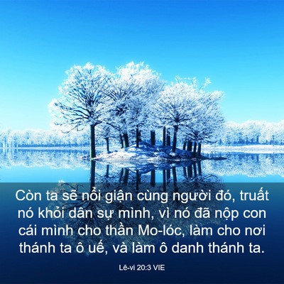 Picture 03 - Lê-vi 20:3 VIE - Còn ta sẽ nổi giận cùng người đó, - Bible Verse Picture